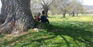 dos niños sentados a la sombra de un árbol en un día soleado con Aúlla, grupo de juego en Moralzarzal